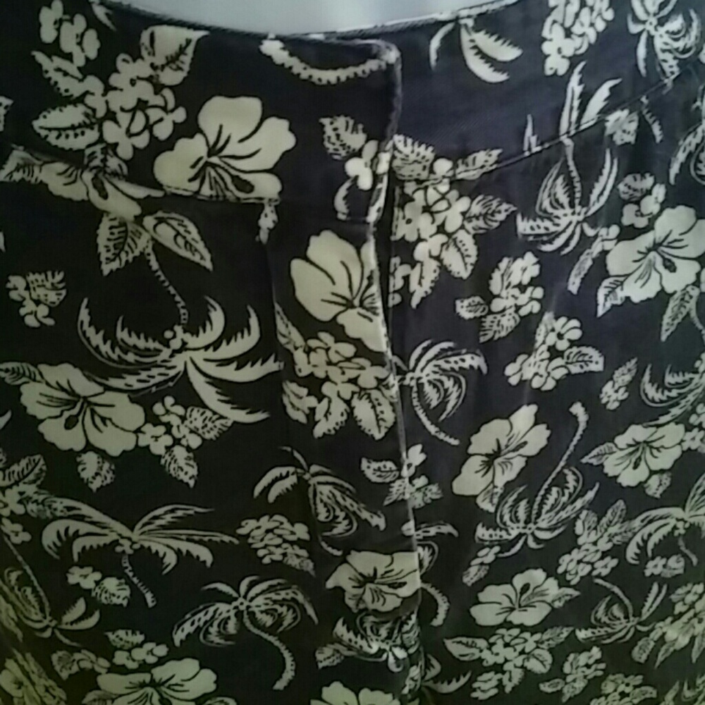 David N Sport Capri Pants
